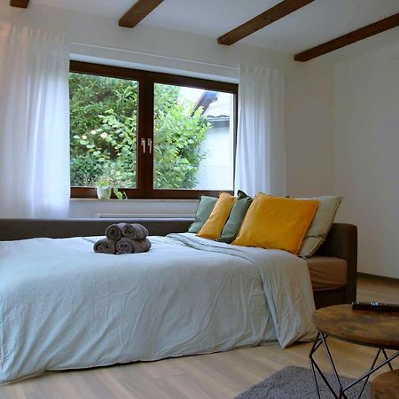 Studio-Apartment Mit Garten, Parkplatz & Kueche オフェンブルク エクステリア 写真