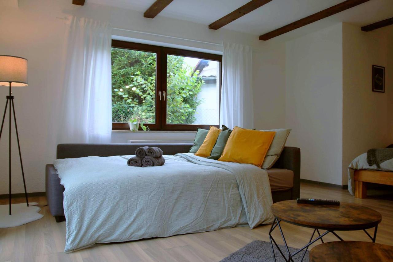 Studio-Apartment Mit Garten, Parkplatz & Kueche オフェンブルク エクステリア 写真